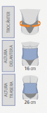 FAJA SACROLUMBAR EVOTEC BEIGE - Imagen 2